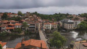 Lutte contre les nuisibles Limoges